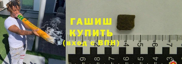 шишки Белокуриха