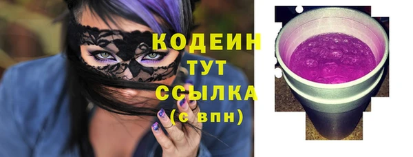 шишки Белокуриха