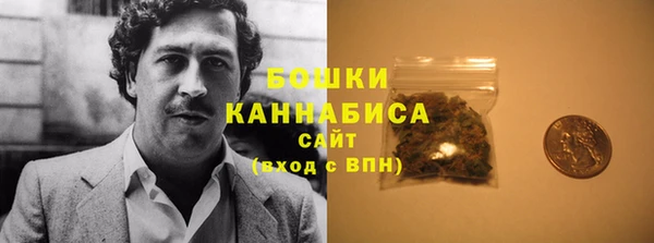 шишки Белокуриха