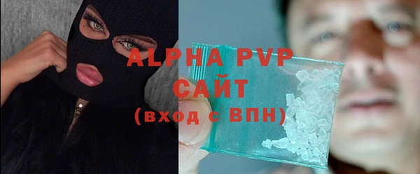 шишки Белокуриха