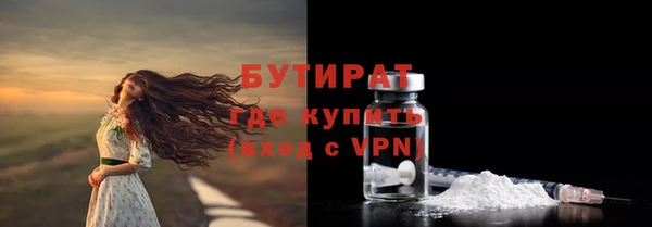 шишки Белокуриха