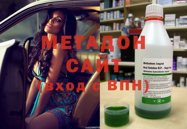 шишки Белокуриха