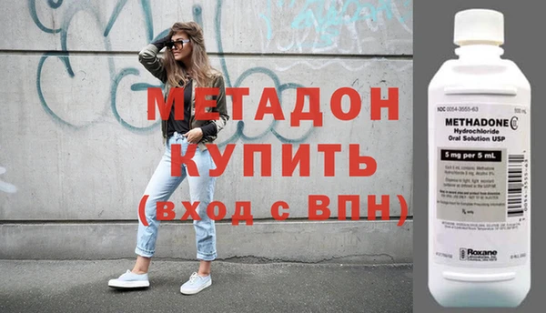 шишки Белокуриха