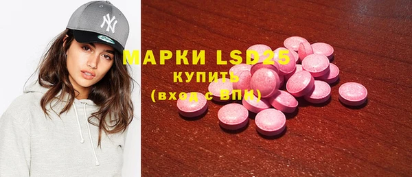 шишки Белокуриха