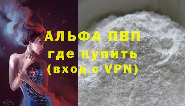 шишки Белокуриха