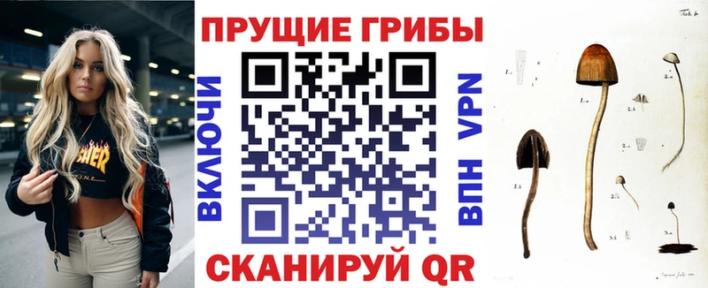 Галлюциногенные грибы мухоморы  цена   Короча 